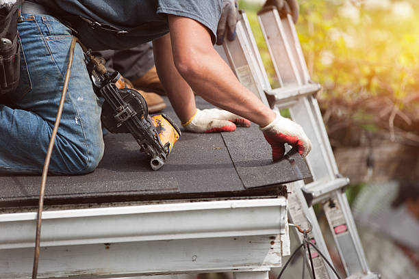 Best Roof Gutter Cleaning  in Weyers Cave, VA
