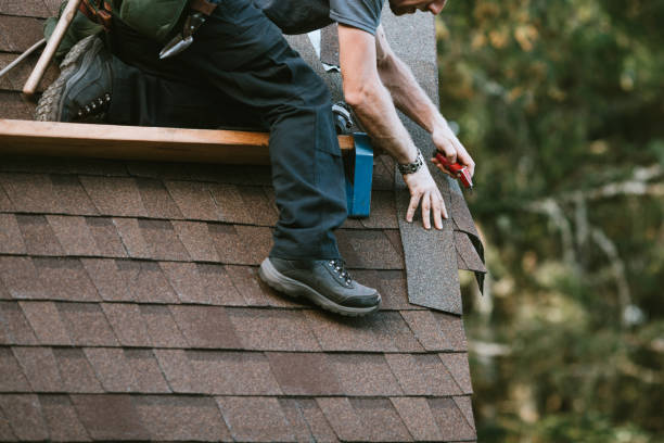 Best Metal Roofing Contractor  in Weyers Cave, VA
